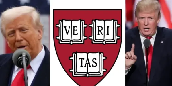 Harvard