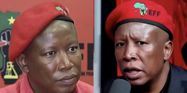 Julius Malema