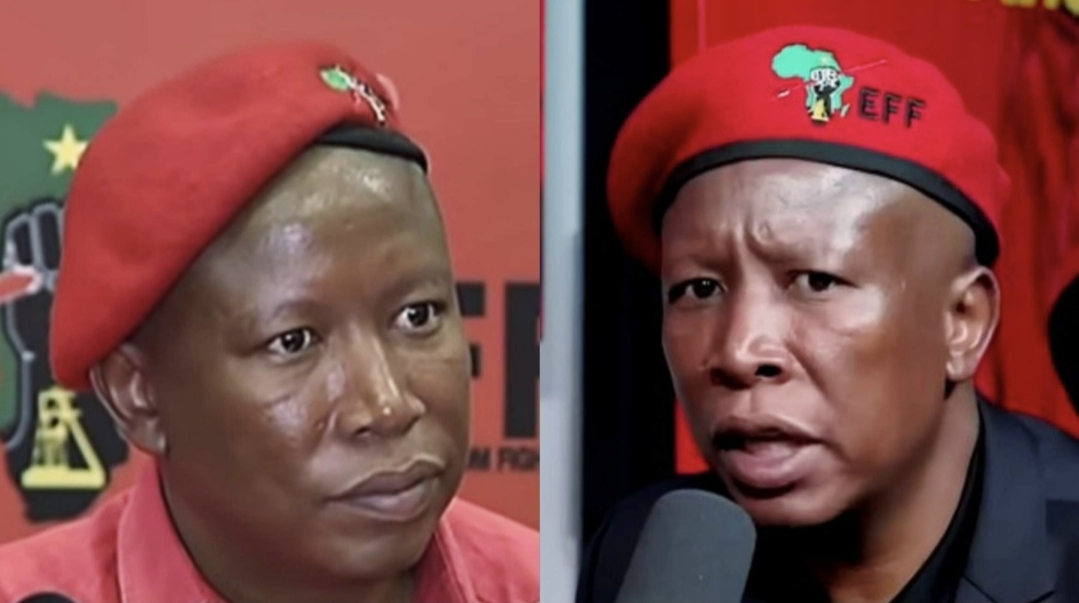 Julius Malema