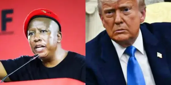 Julius Malema