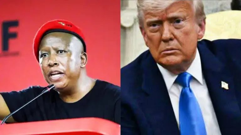 Julius Malema