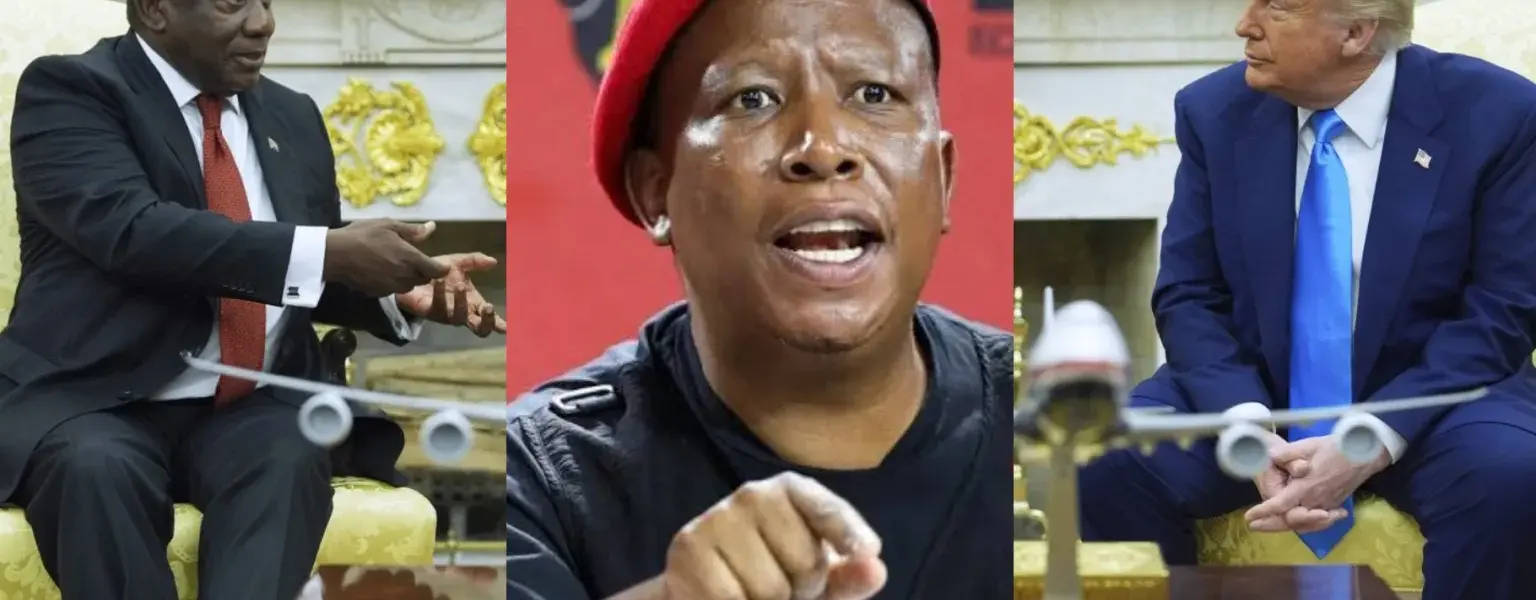 Julius Malema