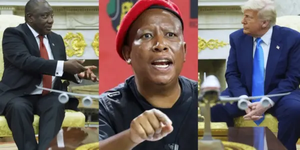 Julius Malema