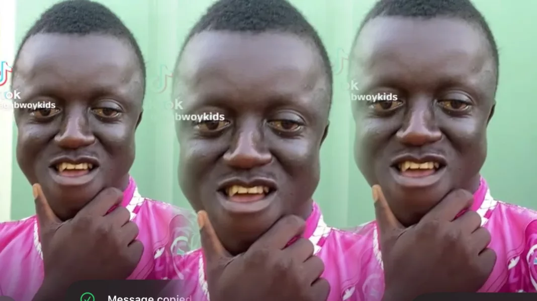 Fine Boy