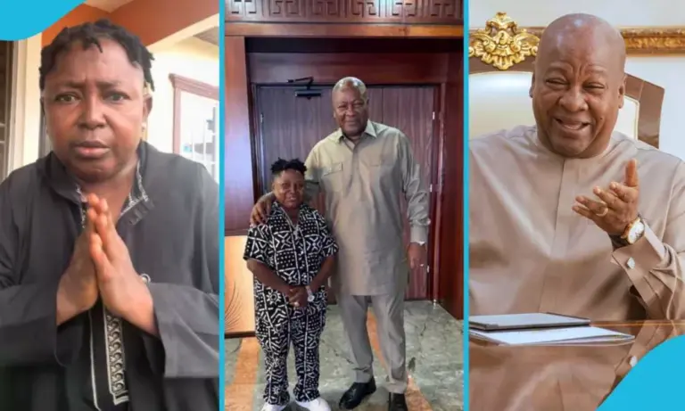Ghanaians are crying for you- Wayoosi begs President Mahama to contest again