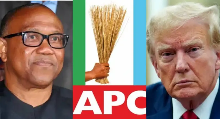 APC blasts Peter Obi